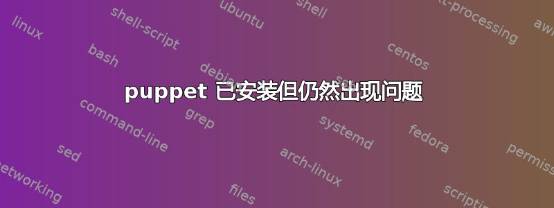 puppet 已安装但仍然出现问题