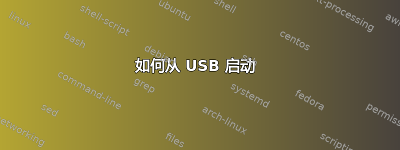 如何从 USB 启动 