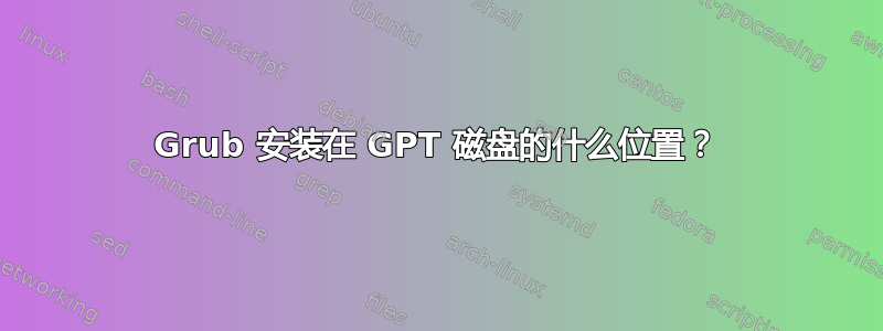 Grub 安装在 GPT 磁盘的什么位置？