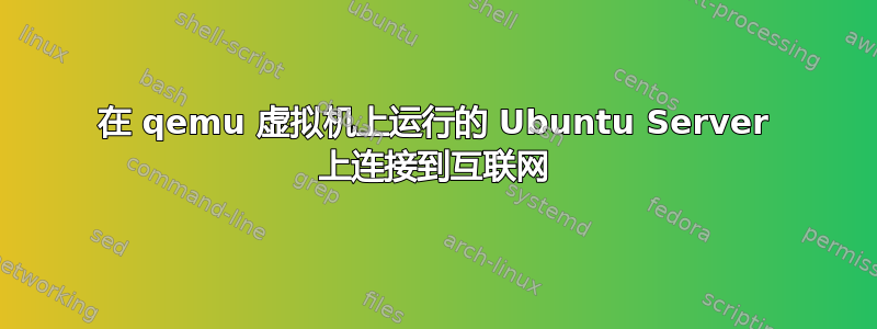 在 qemu 虚拟机上运行的 Ubuntu Server 上连接到互联网