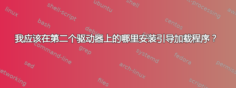 我应该在第二个驱动器上的哪里安装引导加载程序？