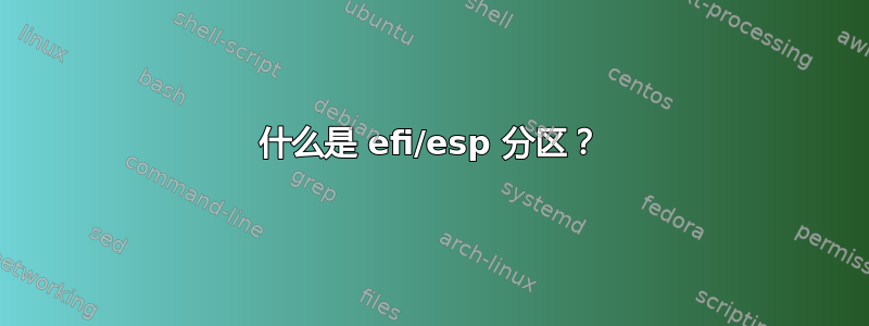 什么是 efi/esp 分区？