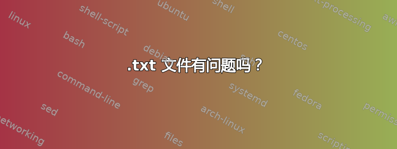 .txt 文件有问题吗？