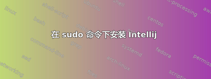 在 sudo 命令下安装 Intellij