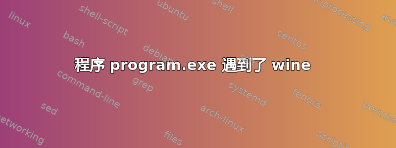 程序 program.exe 遇到了 wine 