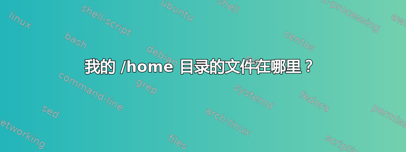 我的 /home 目录的文件在哪里？