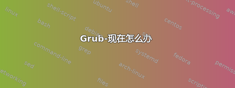 Grub-现在怎么办