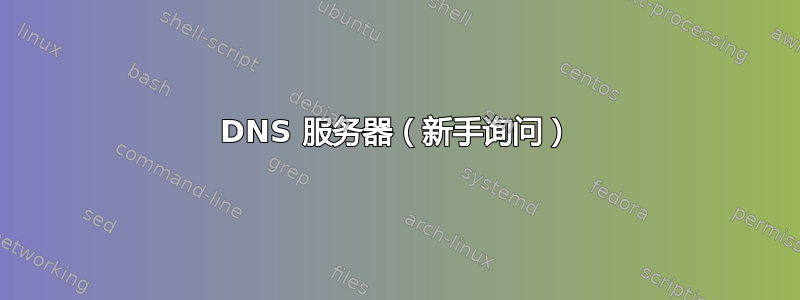 DNS 服务器（新手询问）