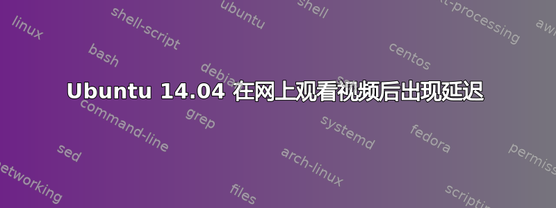 Ubuntu 14.04 在网上观看视频后出现延迟