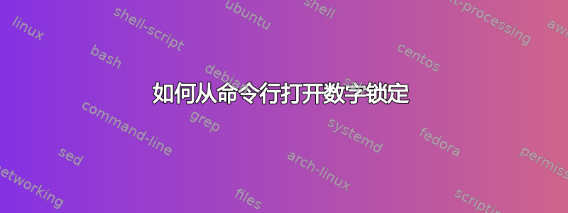 如何从命令行打开数字锁定