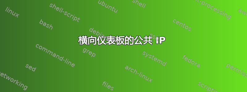 横向仪表板的公共 IP