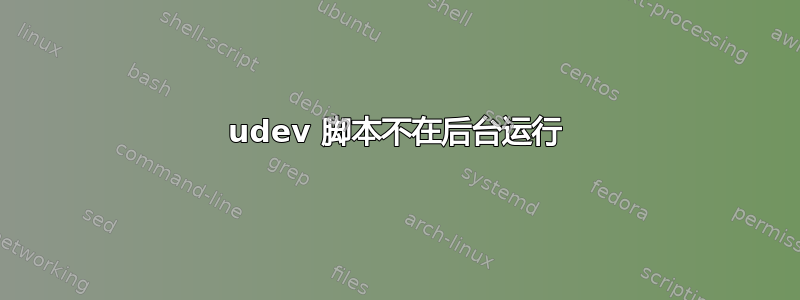 udev 脚本不在后台运行