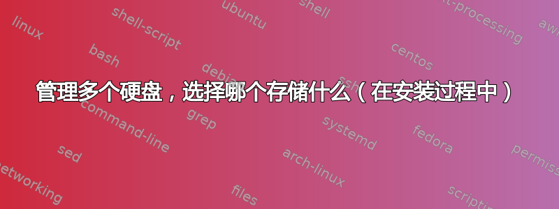 管理多个硬盘，选择哪个存储什么（在安装过程中）