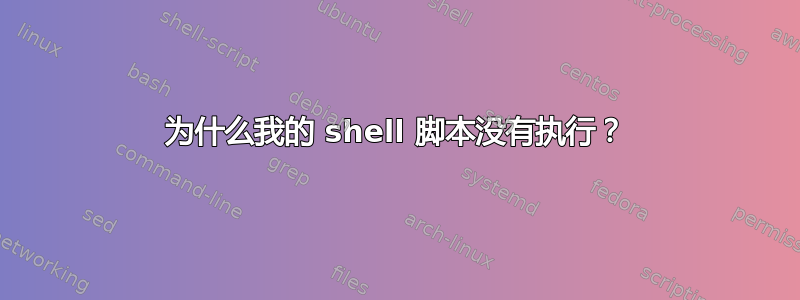 为什么我的 shell 脚本没有执行？