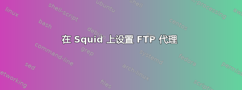 在 Squid 上设置 FTP 代理