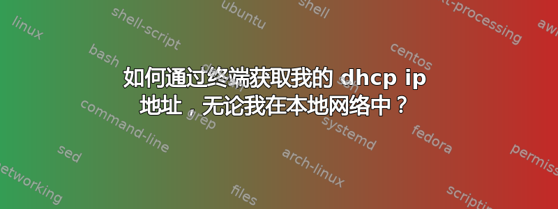 如何通过终端获取我的 dhcp ip 地址，无论我在本地网络中？