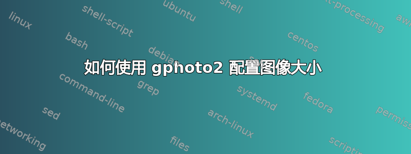 如何使用 gphoto2 配置图像大小