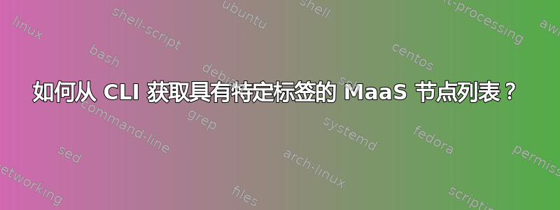 如何从 CLI 获取具有特定标签的 MaaS 节点列表？