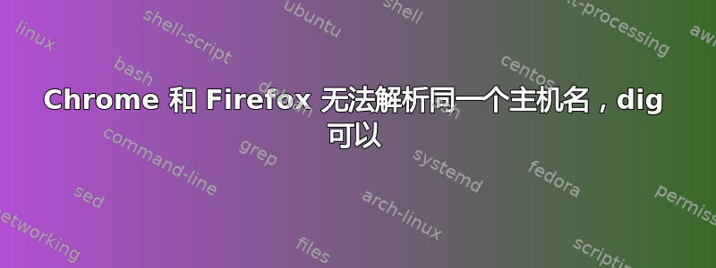 Chrome 和 Firefox 无法解析同一个主机名，dig 可以