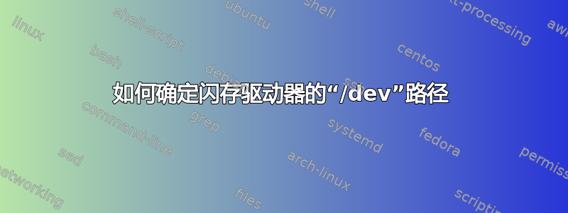 如何确定闪存驱动器的“/dev”路径