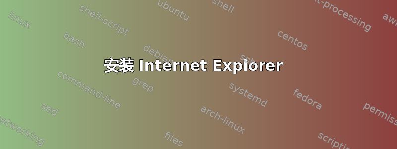 安装 Internet Explorer 