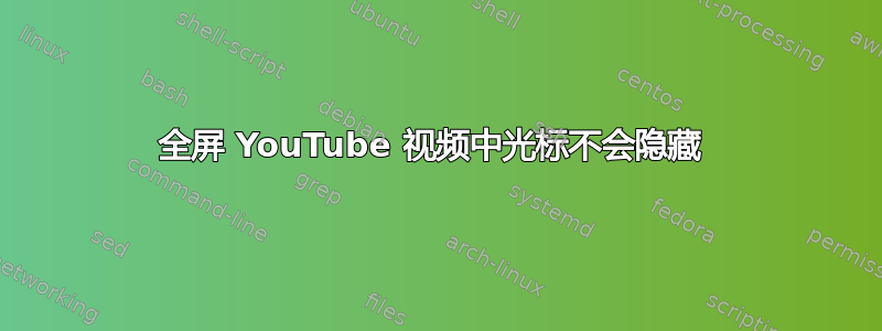 全屏 YouTube 视频中光标不会隐藏 