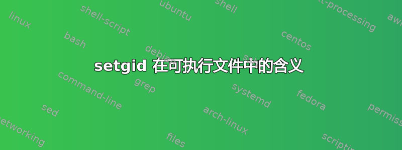 setgid 在可执行文件中的含义