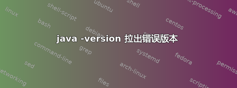 java -version 拉出错误版本