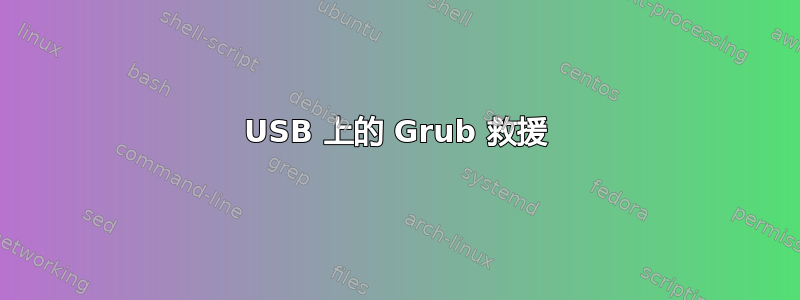 USB 上的 Grub 救援