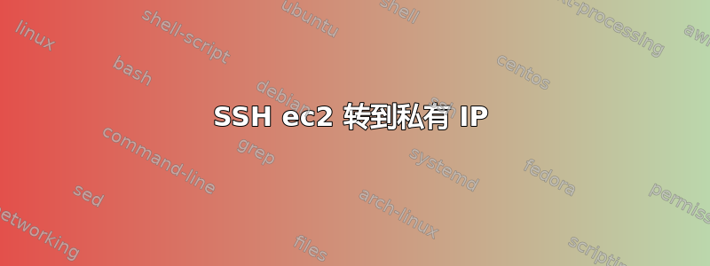 SSH ec2 转到私有 IP