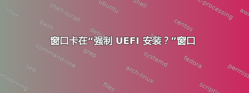 窗口卡在“强制 UEFI 安装？”窗口