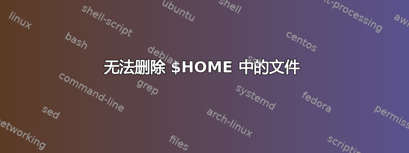 无法删除 $HOME 中的文件