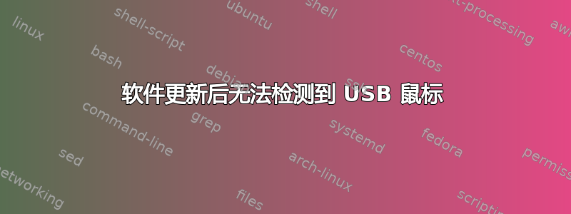 软件更新后无法检测到 USB 鼠标