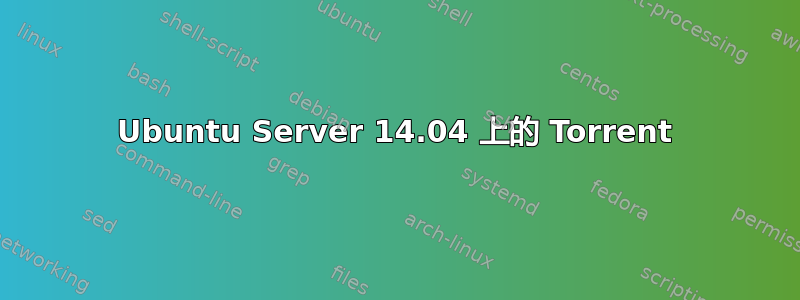 Ubuntu Server 14.04 上的 Torrent