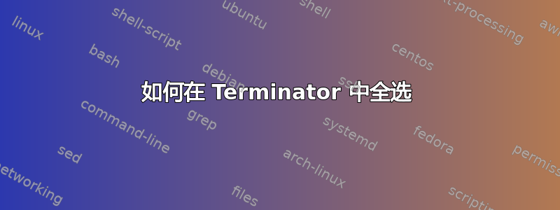 如何在 Terminator 中全选