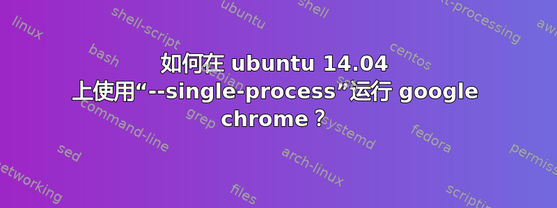 如何在 ubuntu 14.04 上使用“--single-process”运行 google chrome？