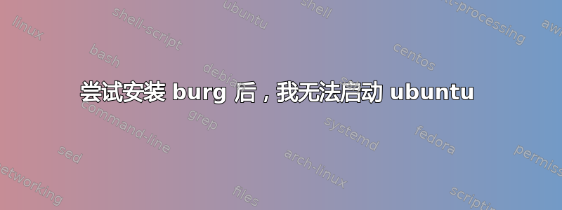 尝试安装 burg 后，我无法启动 ubuntu