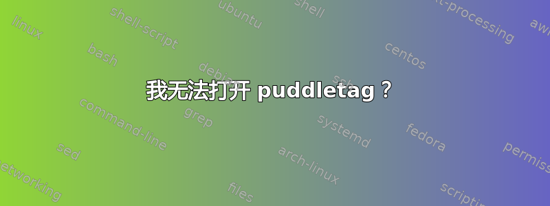 我无法打开 puddletag？