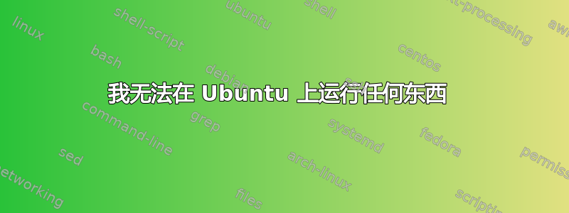 我无法在 Ubuntu 上运行任何东西 