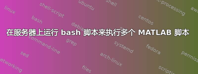 在服务器上运行 bash 脚本来执行多个 MATLAB 脚本