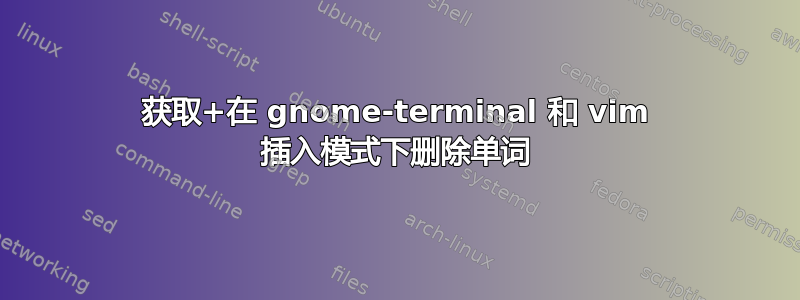 获取+在 gnome-terminal 和 vim 插入模式下删除单词