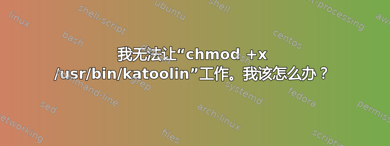 我无法让“chmod +x /usr/bin/katoolin”工作。我该怎么办？