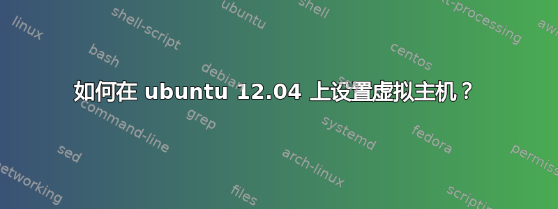 如何在 ubuntu 12.04 上设置虚拟主机？