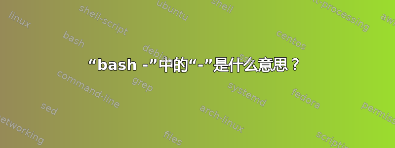 “bash -”中的“-”是什么意思？