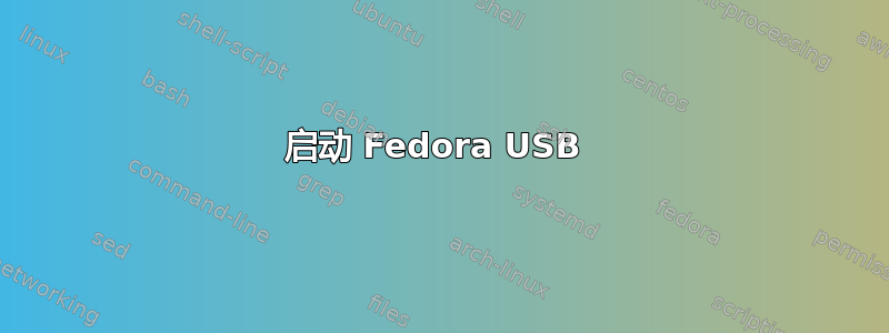 启动 Fedora USB 