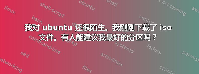 我对 ubuntu 还很陌生。我刚刚下载了 iso 文件。有人能建议我最好的分区吗？