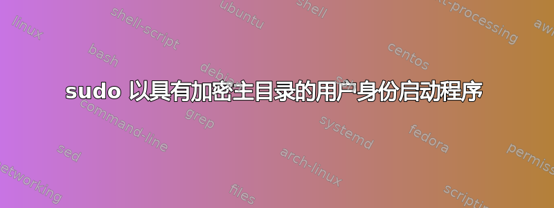 sudo 以具有加密主目录的用户身份启动程序