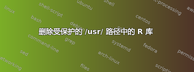 删除受保护的 /usr/ 路径中的 R 库