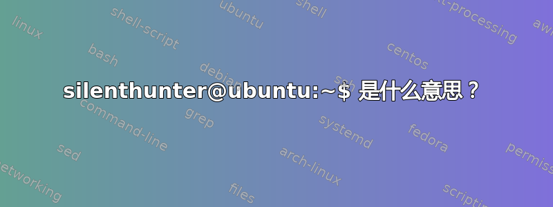 silenthunter@ubuntu:~$ 是什么意思？