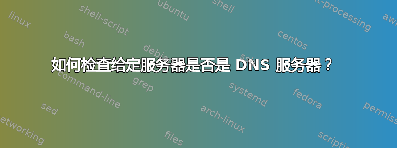 如何检查给定服务器是否是 DNS 服务器？ 